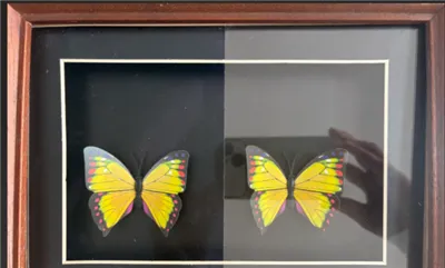 An tSín Eliter Glass Anti - Gloine Machnamhach